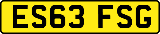 ES63FSG
