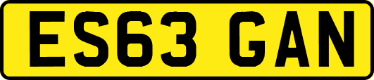 ES63GAN