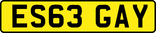 ES63GAY