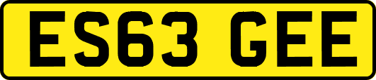 ES63GEE