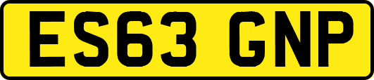 ES63GNP