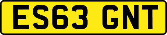 ES63GNT