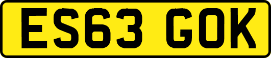 ES63GOK