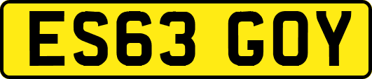 ES63GOY