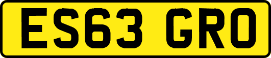 ES63GRO
