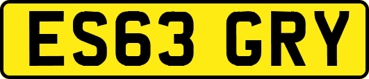 ES63GRY