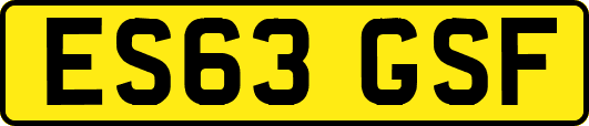 ES63GSF