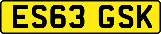 ES63GSK