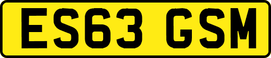 ES63GSM