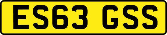 ES63GSS