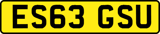 ES63GSU