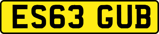 ES63GUB