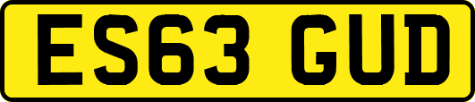 ES63GUD