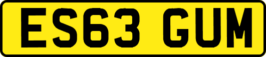 ES63GUM