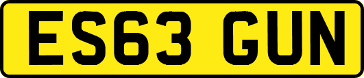 ES63GUN