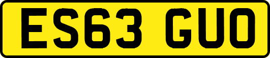 ES63GUO