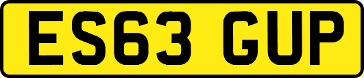 ES63GUP