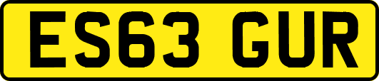 ES63GUR