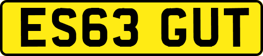 ES63GUT