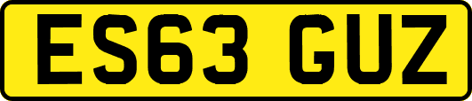 ES63GUZ