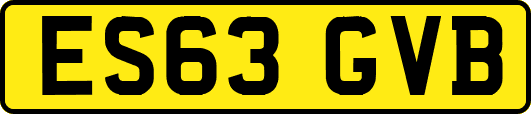 ES63GVB