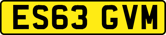 ES63GVM
