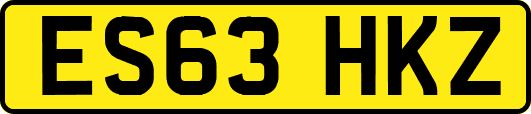 ES63HKZ