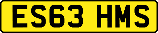 ES63HMS