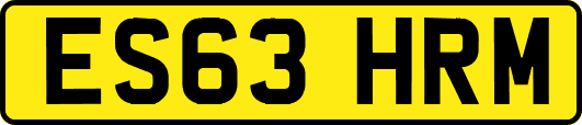 ES63HRM