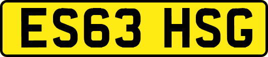 ES63HSG