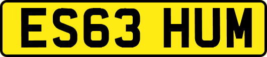 ES63HUM
