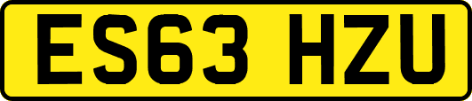 ES63HZU