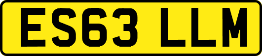 ES63LLM