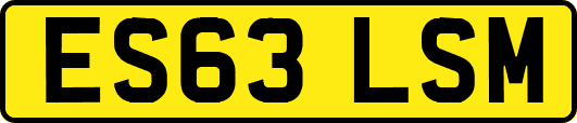 ES63LSM