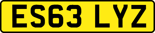 ES63LYZ