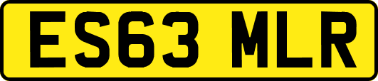 ES63MLR