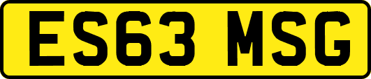 ES63MSG
