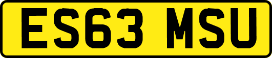 ES63MSU