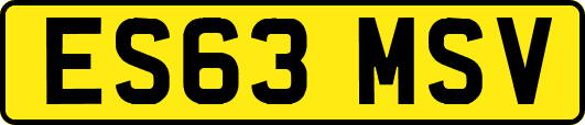 ES63MSV