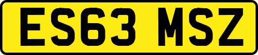 ES63MSZ