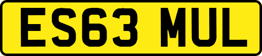 ES63MUL