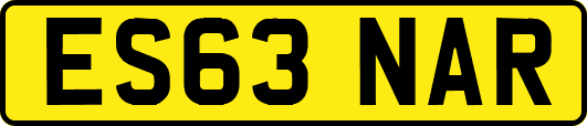 ES63NAR