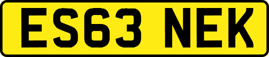ES63NEK