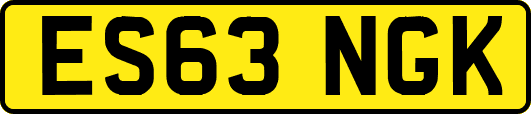 ES63NGK