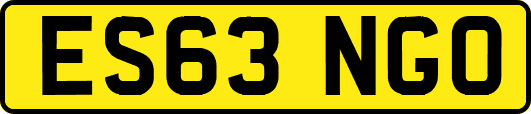 ES63NGO