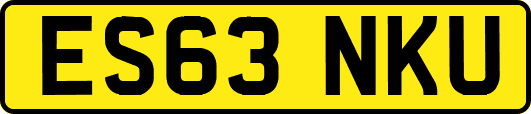ES63NKU
