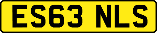 ES63NLS