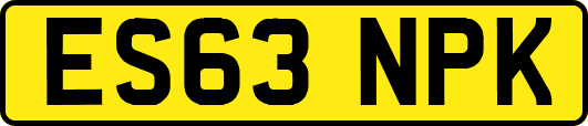 ES63NPK