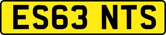 ES63NTS
