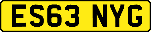 ES63NYG